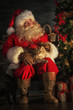 © Milles Studio - Santa Claus sitting near Christmas tree