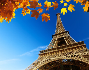  Eiffel tower in autumn time