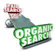 © iQoncept - Organic Vs Paid Search Internet Marketing Advertising SEO Result