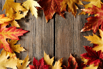 Poster - Autumn maple leaves over wooden background