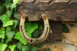 Old retro horseshoe in garden