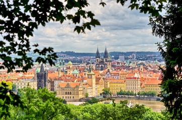 Sticker - Prague in natural frame made from leaves, Czech Republic