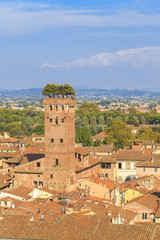 Wall Mural - lucca tower