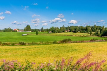 houses in a rural landscape