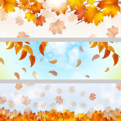 Wall Mural - Autumn Theme Banners