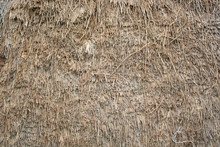 Thatched Background
