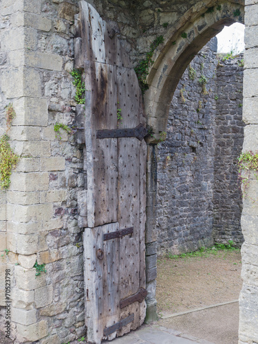 Plakat na zamówienie The ruins of Chepstow Castle, Wales