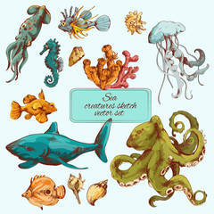 Sticker - Sea creatures sketch colored