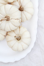 Miniature White Pumpkins