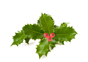 Sticker - holly leaves