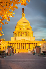 Wall Mural - US Capitol