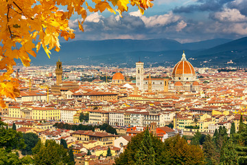 Wall Mural - Aerial view of Florence