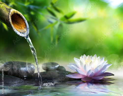 Fototapeta na wymiar zen garden with massage stones and waterlily