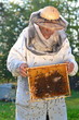 pszczelarz pracujący w pasiece i rój pszczół