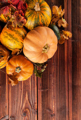 Wall Mural - Autumn agriculture products on wood