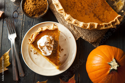 Fotografia, Obraz Homemade Pumpkin Pie for Thanksigiving