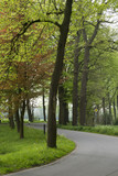 Fototapeta Sypialnia - Road with a curve in the Dutch landscape