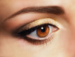 © gromovataya - Mascara. Close Up Woman's Eye with Golden Eyeshadow