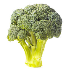 Sticker - Green broccoli isolated