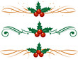 Christmas decoration holly set. Vector illustranion.