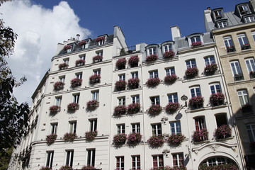 Poster - Balcons d'immeuble fleuris à Paris