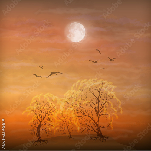 Obraz w ramie Vector autumn landscape