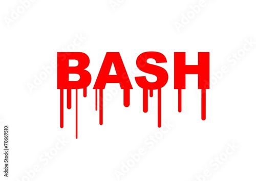 Foto  Bash Bourne-again shell security hacking problem