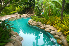 Swimming Pool With Garden Decoration