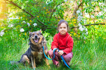 Wall Mural - Happy little girl sitting with dog on the grass