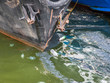 Oil and garbage pollution in the water. Selective focus.