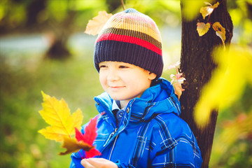 Happy boy  joyful and blissful holding colorful leaves in autumn