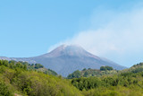 Fototapeta Sawanna - Mount Etna
