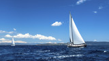 Fototapeta Sawanna - Sailing on a calm sea. Boat race. Luxury yachts.