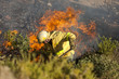 Bombero luchando contra un incendio forestal