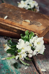 Flowering branches