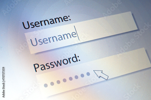 Fotomural Login. Username and Password on Computer Screen