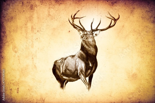 Naklejka - mata magnetyczna na lodówkę antique stag art drawing handmade nature