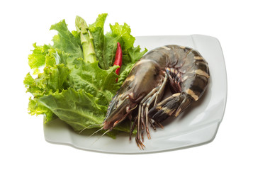 Tiger prawn