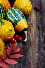 Wall Mural - autumn background
