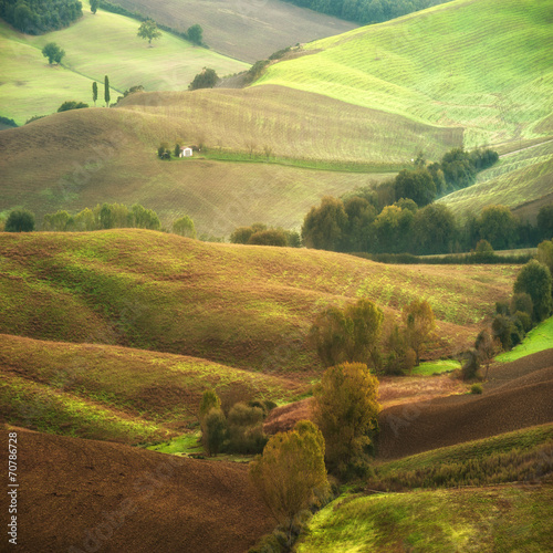 Nowoczesny obraz na płótnie The beautiful Tuscan countryside around San Quirico d'Orcia, Ita