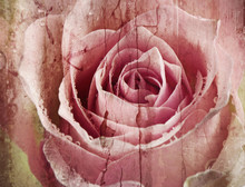 Old  Grunge Background With Rose
