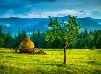 Wall Mural - amazing mountain landscape with fog and a haystack