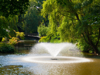 Lake fountain in a park