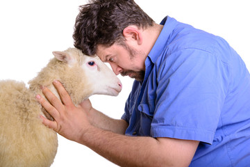 Wall Mural - animal sheep and man arguing