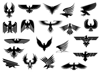 heraldic eagles, falcons and hawks set