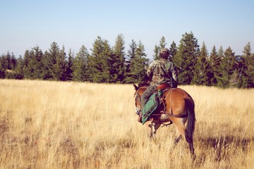 Wall Mural - Horseback Hunting