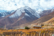 Grape Vines and Mountains