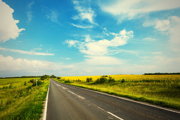 Road through the yellow sunflower field