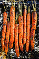 Wall Mural - Roasted carrots with rosemary