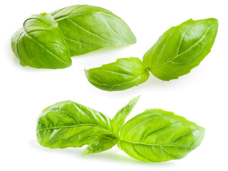 Wall Mural - Basil leaves isolated on white. Collection